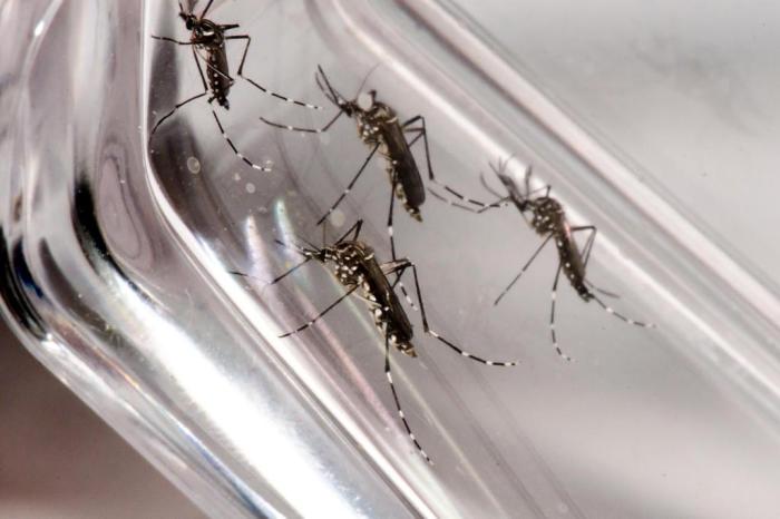 Recreio tem nove casos de Chikungunya confirmados