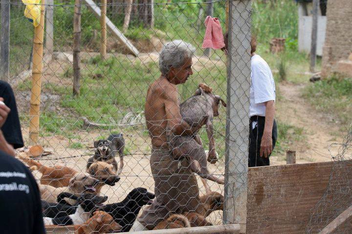 Associação Protetora dos Animais de Além Paraíba é despejada