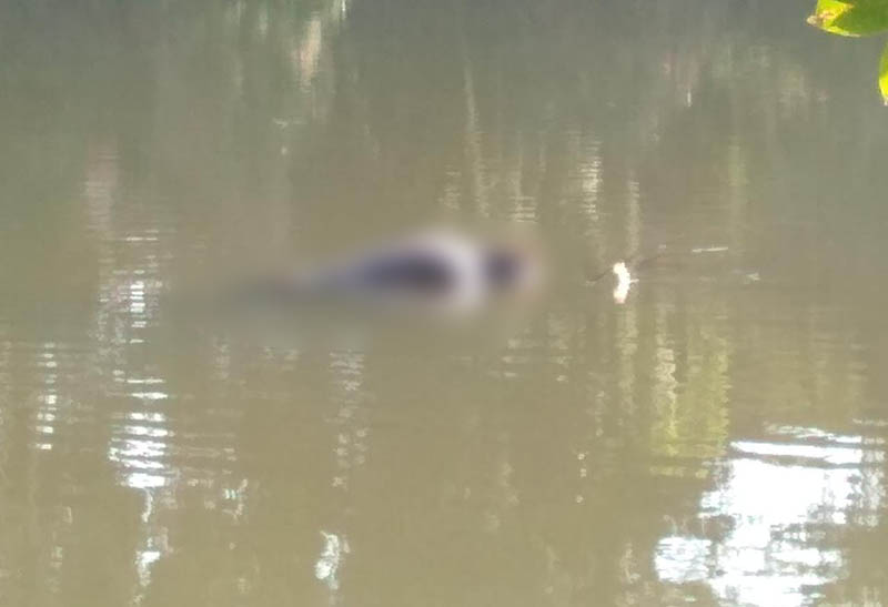 Corpo de homem é encontrado boiando no rio Pomba em Cataguases