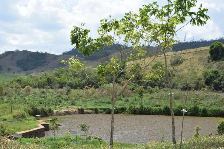 Poço Artesiano está garantindo o abastecimento de água em Recreio
