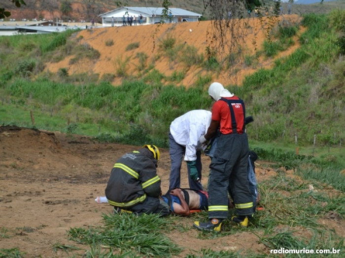 Motorista é atacado por enxame de abelhas na BR-116 e cai em barranco