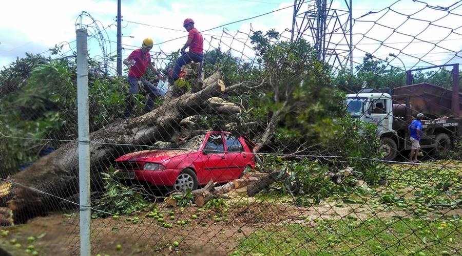 Após temporal, moradores e comerciantes calculam prejuízos em Leopoldina