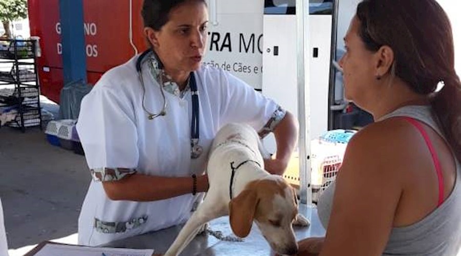 Castramóvel atende mais de 200 animais em Além Paraíba