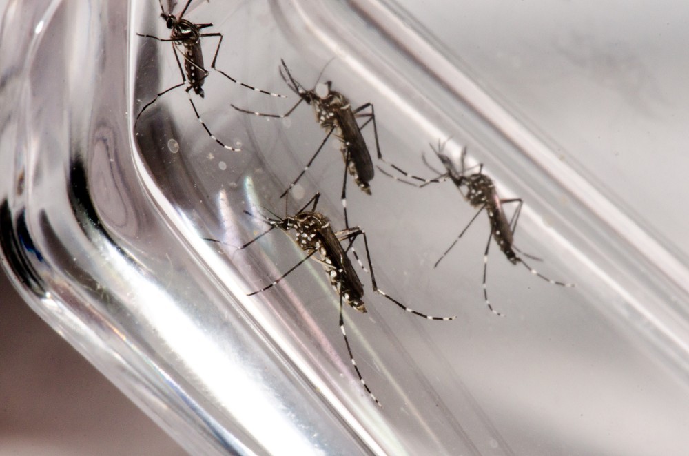 Além Paraíba registra primeira morte por suspeita de dengue em 2020