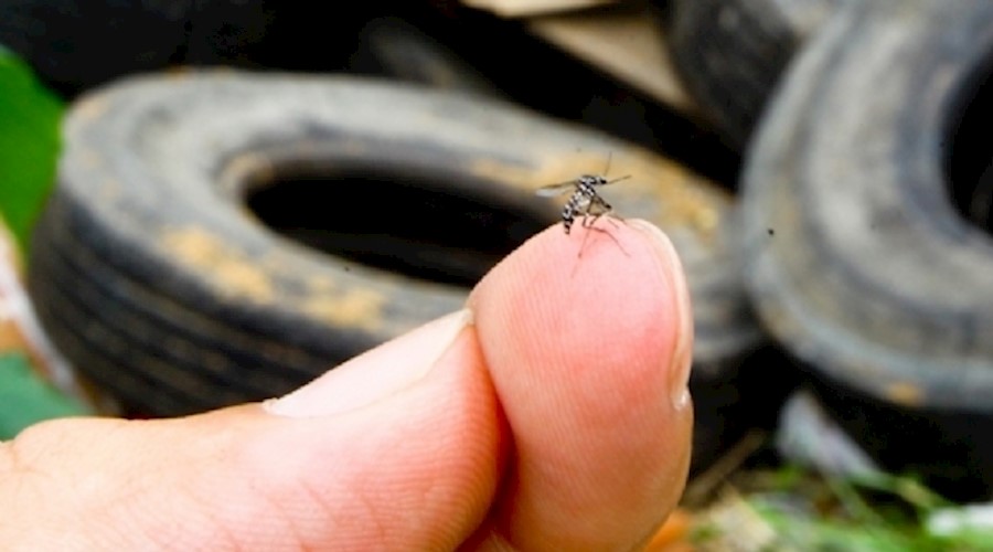 Cataguases tem 38 casos confirmados de Dengue e um óbito