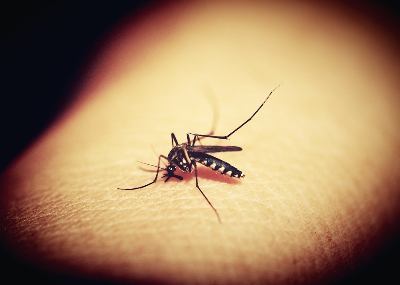 Dengue continua avançando em Cataguases e na região