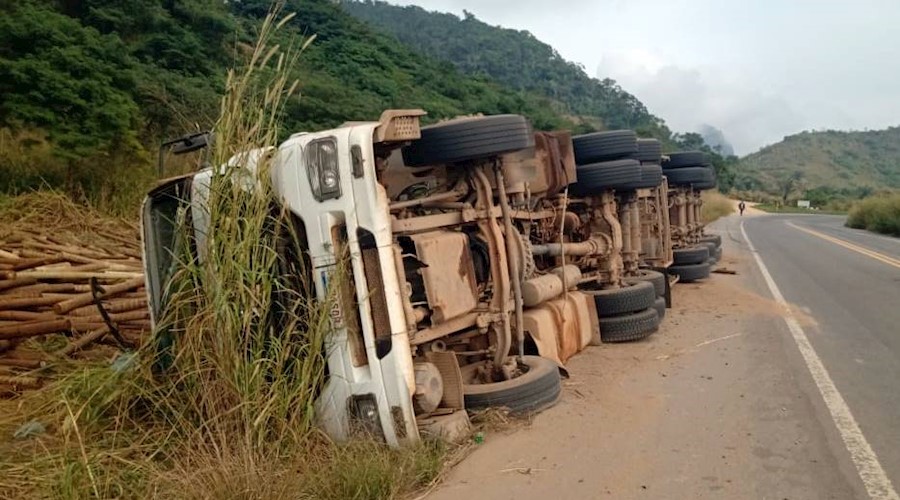 Carreta bitrem carregada com eucalipto tomba na BR-116