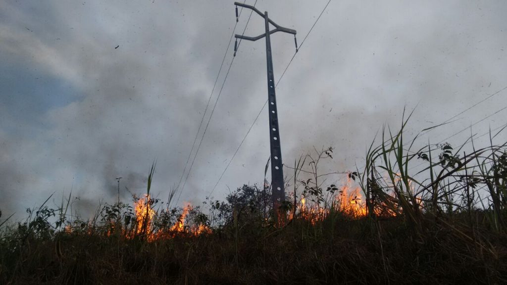 Queimadas deixaram 50 mil clientes da Energisa sem luz elétrica