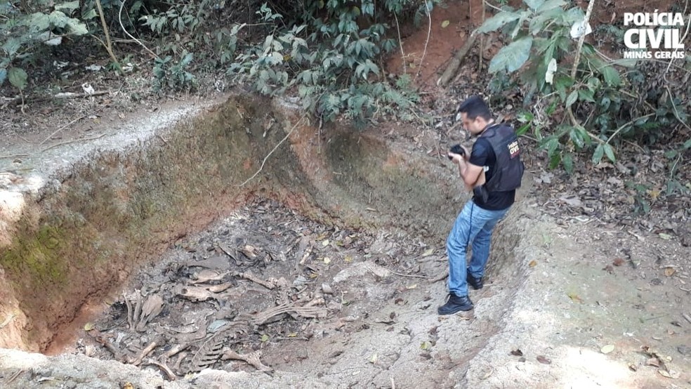 Polícia Civil flagra abatedouro clandestino em Guarani