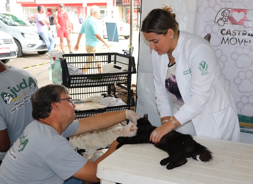 Muriaé sedia terceira edição do ‘Mutirão de Castração’ para cães e gatos