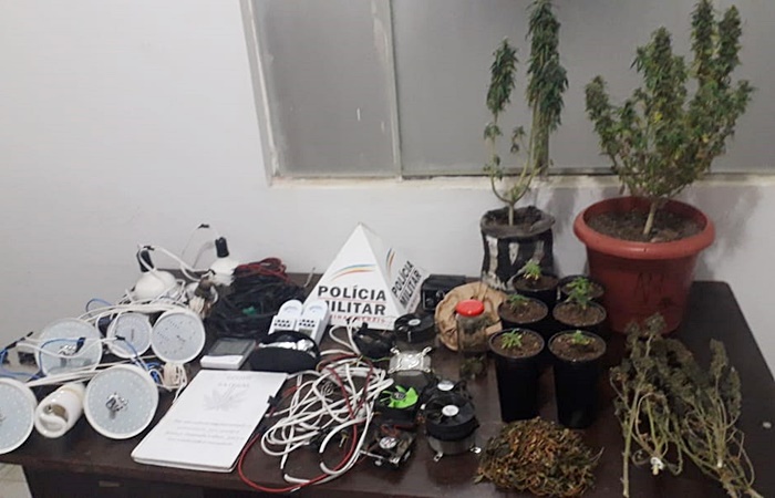 PM prende, em Descoberto, dois suspeitos de cultivarem maconha dentro de casa