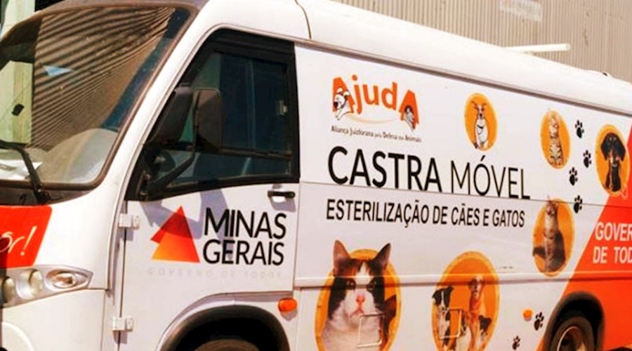 Recreio terá Mutirão de castração de cães e gatos no final de fevereiro