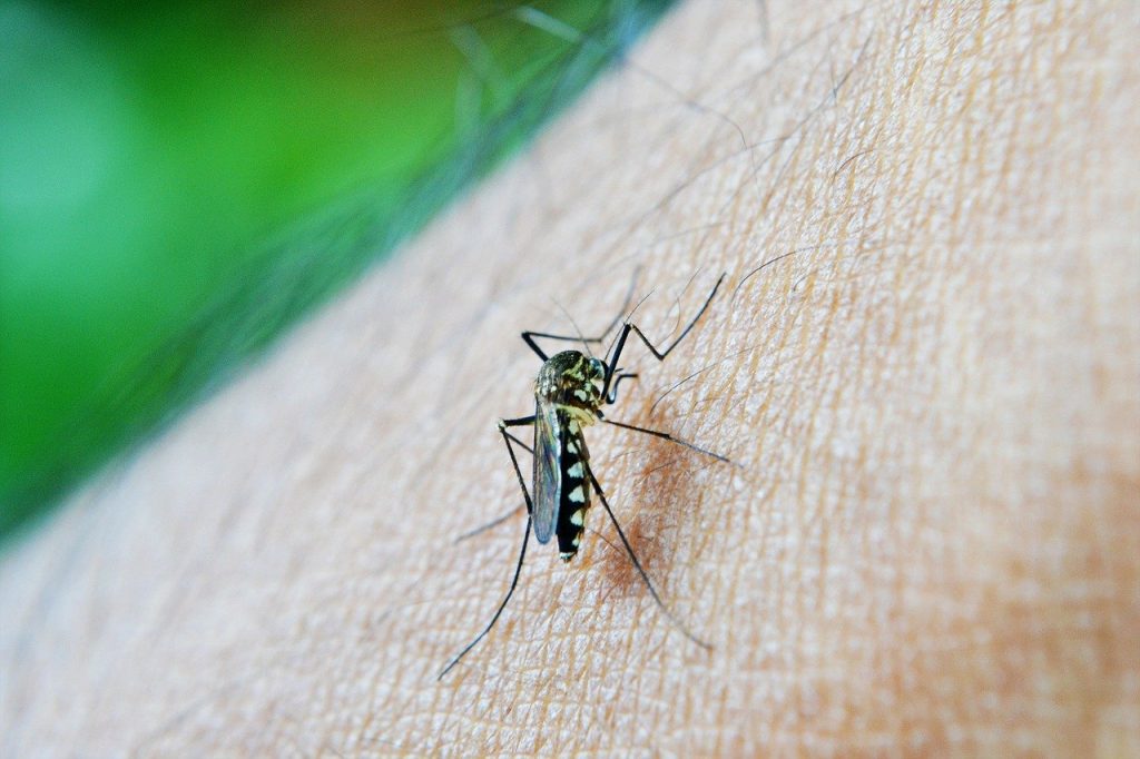 Ubá lidera número de casos de Dengue na região. Tocantins é o segundo