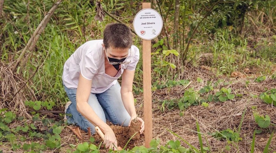 Recreio cria o Bosque da Memória com o plantio de mudas de árvores nativas