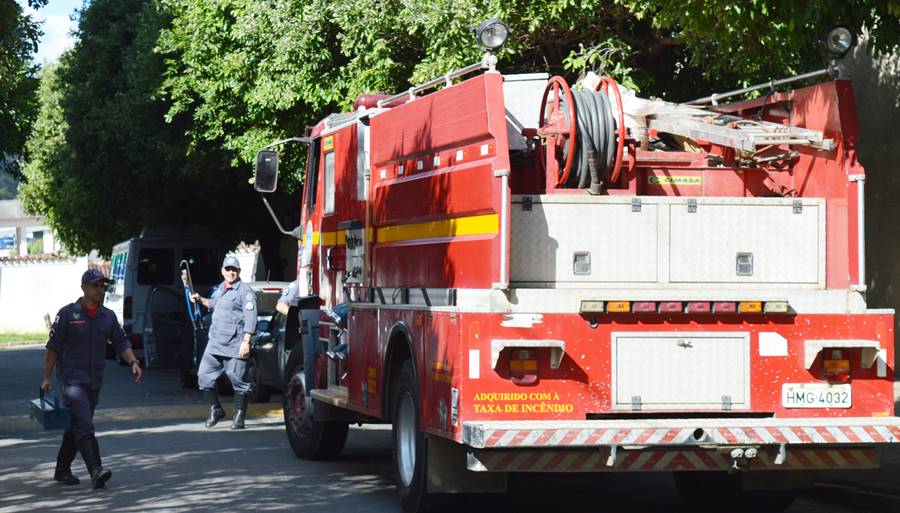 Homem morre em Volta Grande ao ser atingido por tronco de árvore