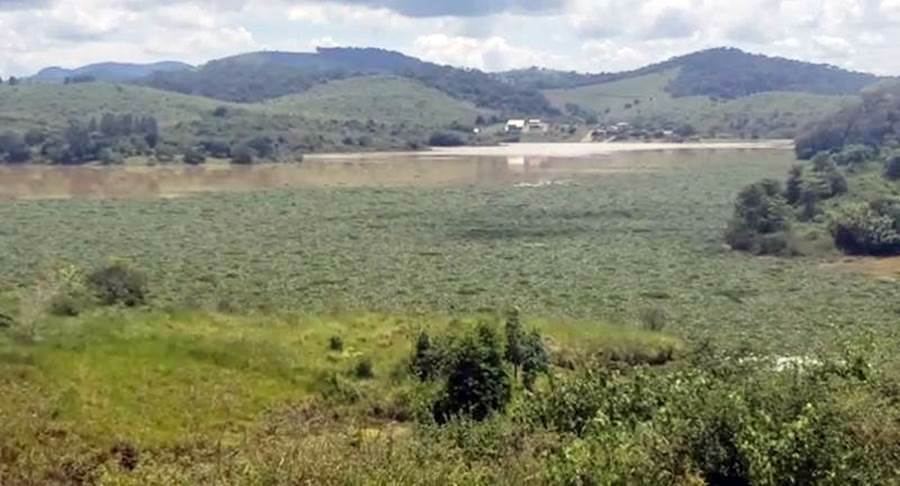 Plantas aquáticas na represa Barra do Braúna atrapalham pescadores e visitantes