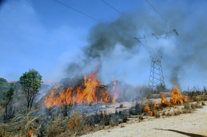 Estiagem chama atenção para risco de queimadas perto da rede elétrica