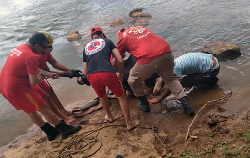 Defesa Civil e Corpo de Bombeiros salvam vaca que atolou no rio