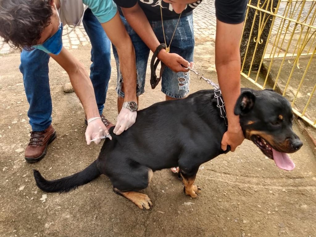 Vacinação antirrábica na Zona Rural será dia 2 de outubro