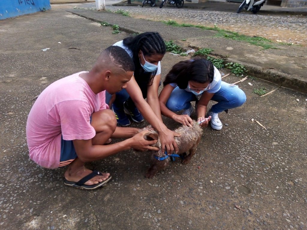 Campanha de vacinação antirrábica prossegue na zona rural de Cataguases