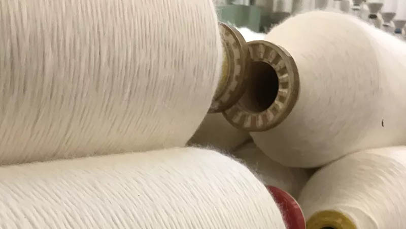 Com algodão orgânico, Industrial anuncia nova coleção Verão 22/23