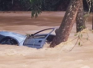 Temporal faz uma vítima