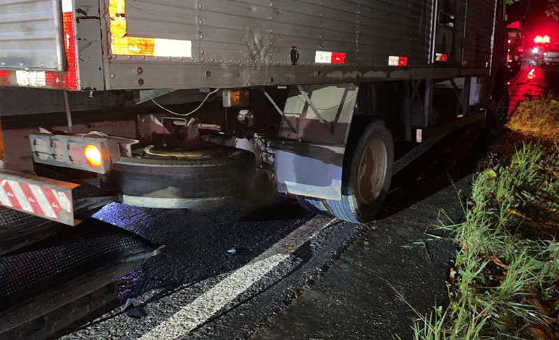 Motociclista morre em acidente envolvendo vaca e caminhão entre Ubá e Guidoval