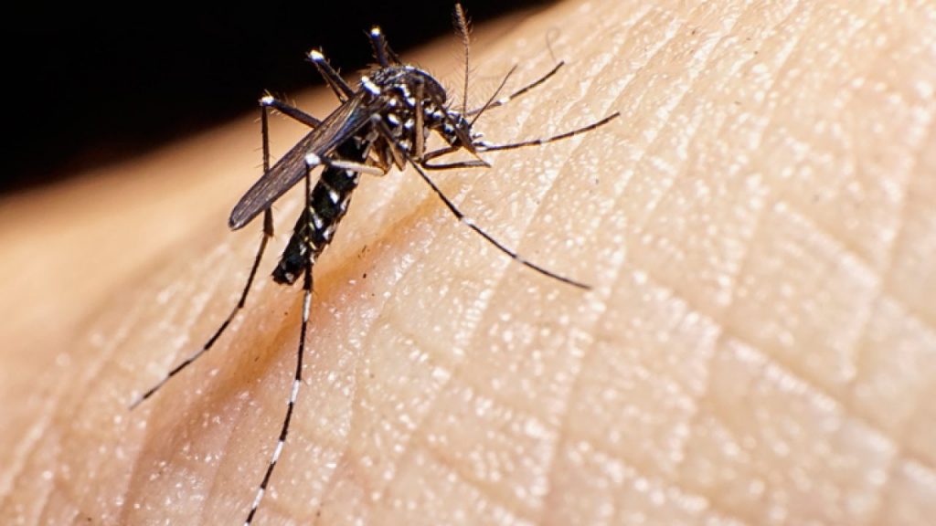 Cataguases vai receber quase R$ 93 mil para enfrentamento ao Aedes Aegypti