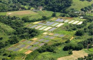 Epamig em Leopoldina promove