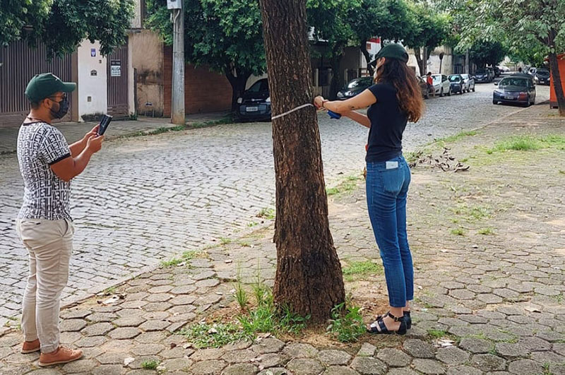 Prefeitura de Cataguases inicia levantamento da arborização urbana