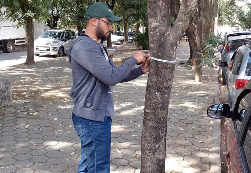 Prefeitura segue realizando inventário da arborização urbana