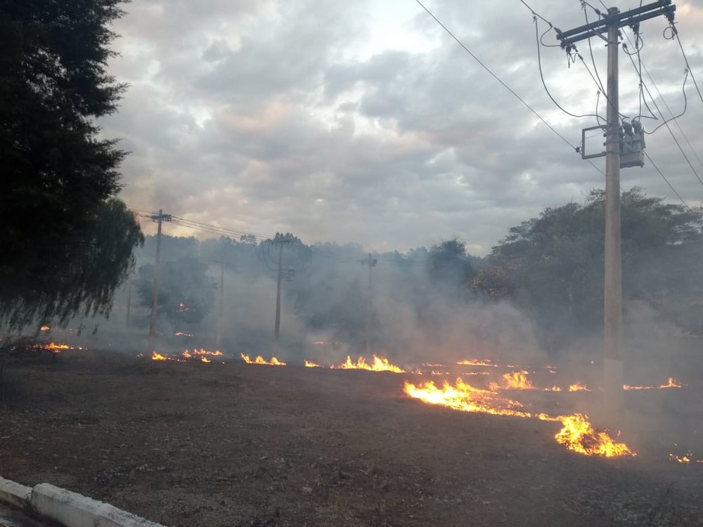 Estiagem chama atenção para risco de queimadas perto da rede elétrica