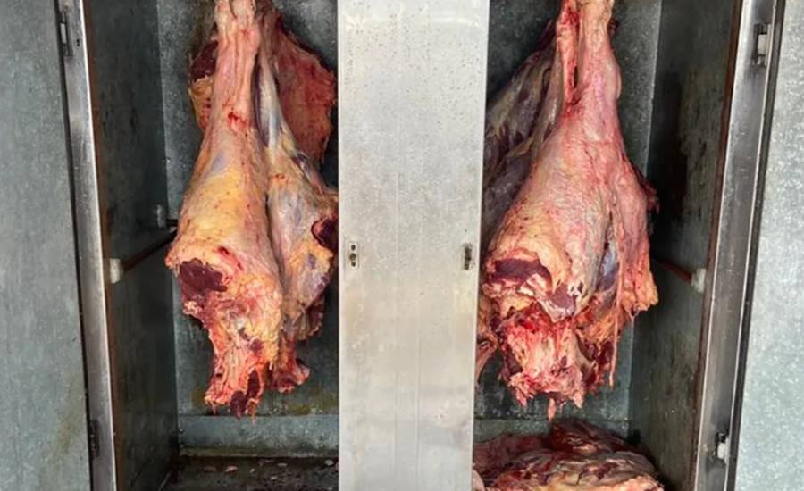 Polícia apreende 250 kg de carne imprópria para o consumo