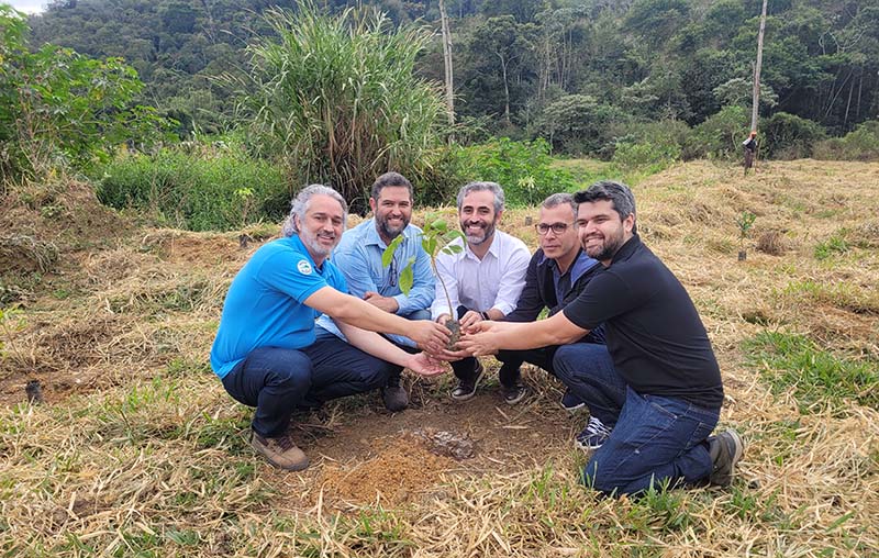CBA abre novo edital de programa de reflorestamento ambiental