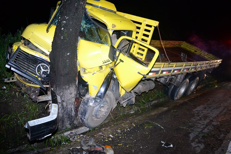 Motorista de caminhão bate em árvore na BR-356, em Muriaé