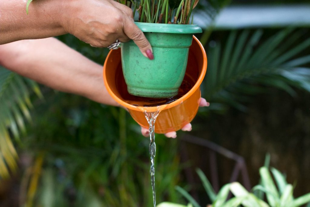 Saúde faz campanha contra a Dengue em Cataguases