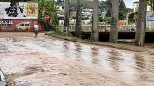 Rio Pomba baixa e