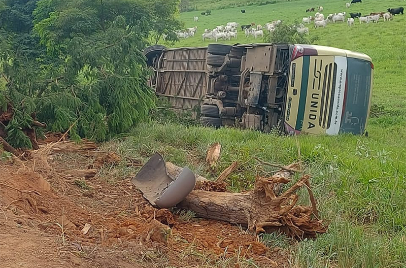 Automóvel e ônibus batem na estrada entre Rodeiro e Ubá