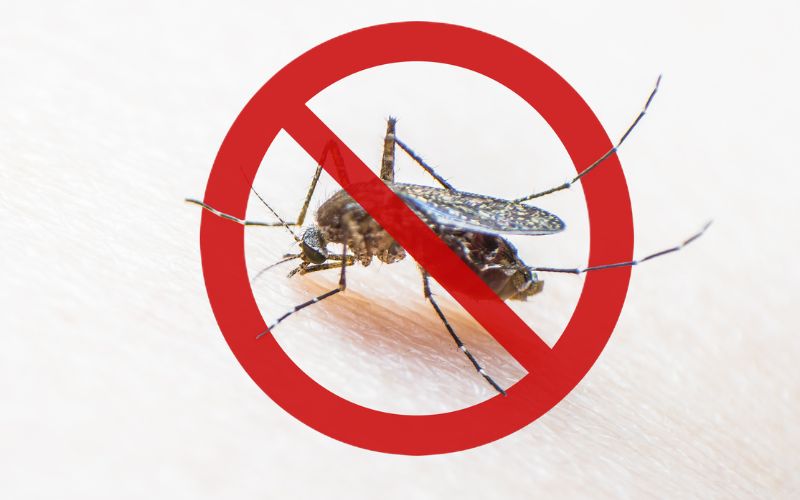 Viçosa está em alerta com 485 casos confirmados de dengue