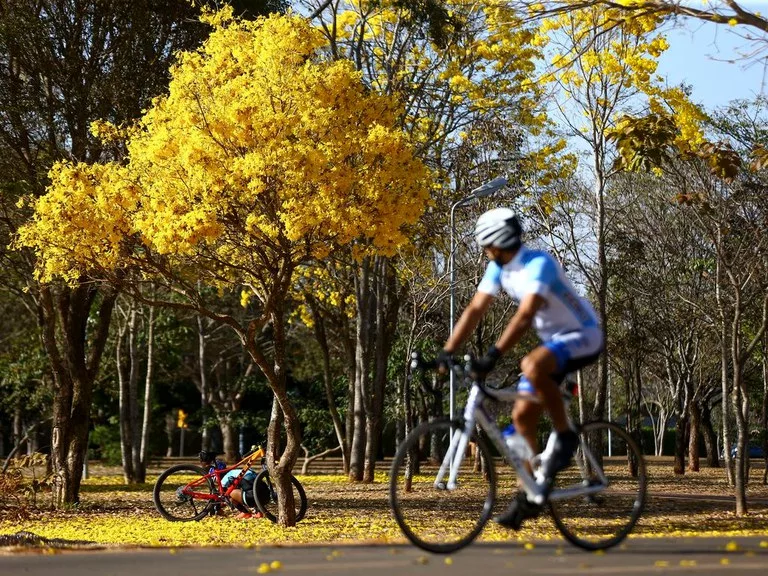 Bicicletas elétricas não precisam de emplacamento ou habilitação, diz Contran