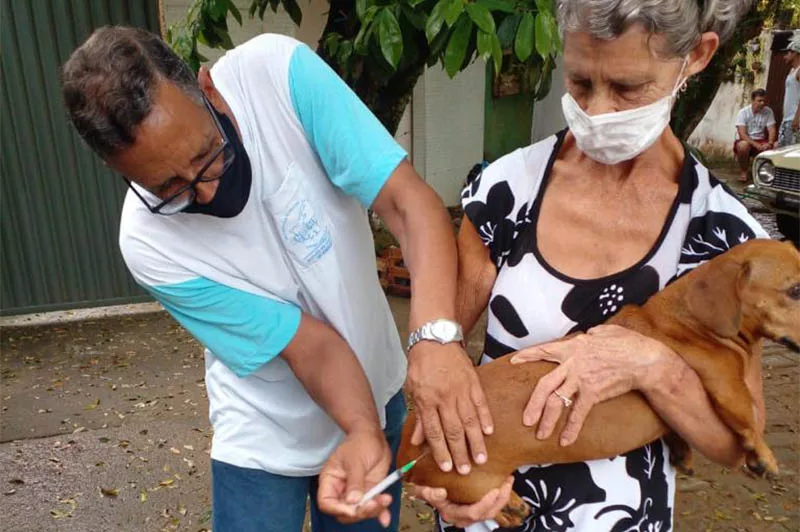 Vai começar a campanha de vacinação antirrábica em Cataguases