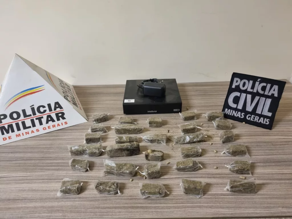 PC e PM encontram drogas escondidas em uma palmeira em Astolfo Dutra