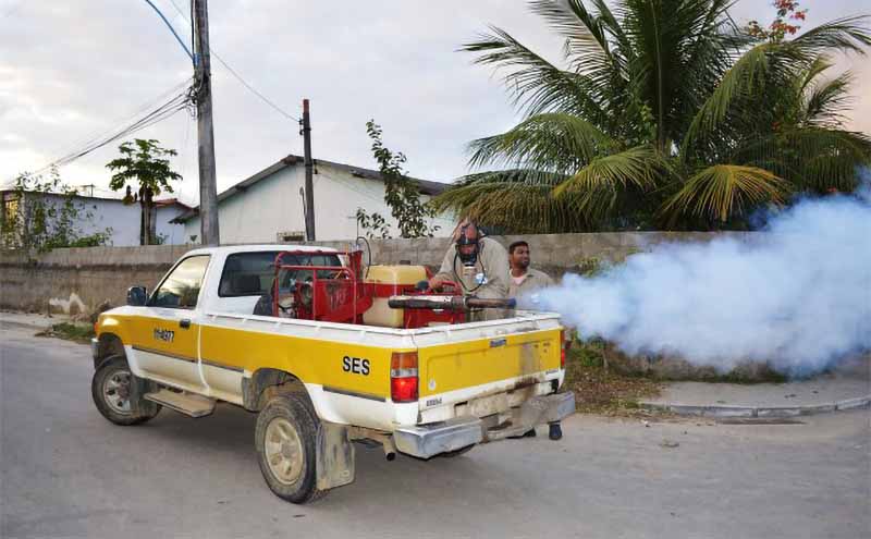 Casos de dengue aumentam significativamente neste início de ano