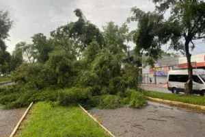 Tempestade faz estragos em