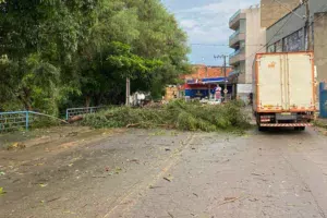 Tempestade faz estragos em