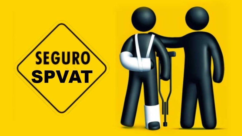 Seguro obrigatório voltará a ser pago em 2025