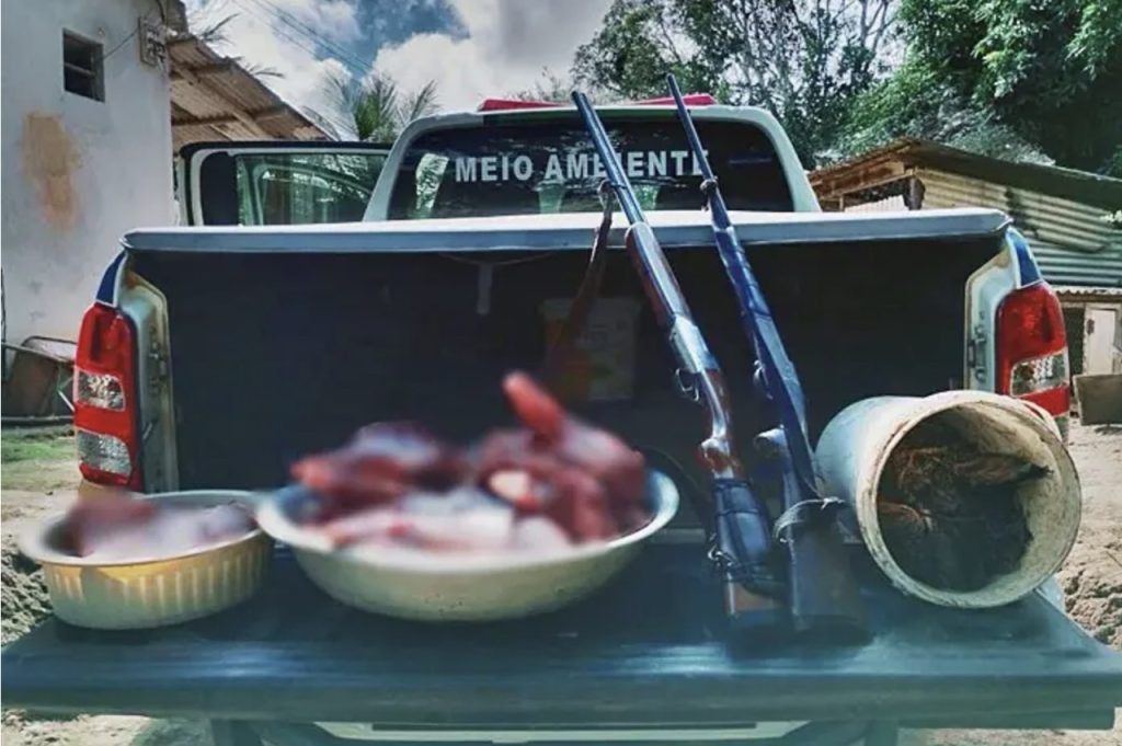 Dois homens são presos por caça e abate de porcos-do-mato