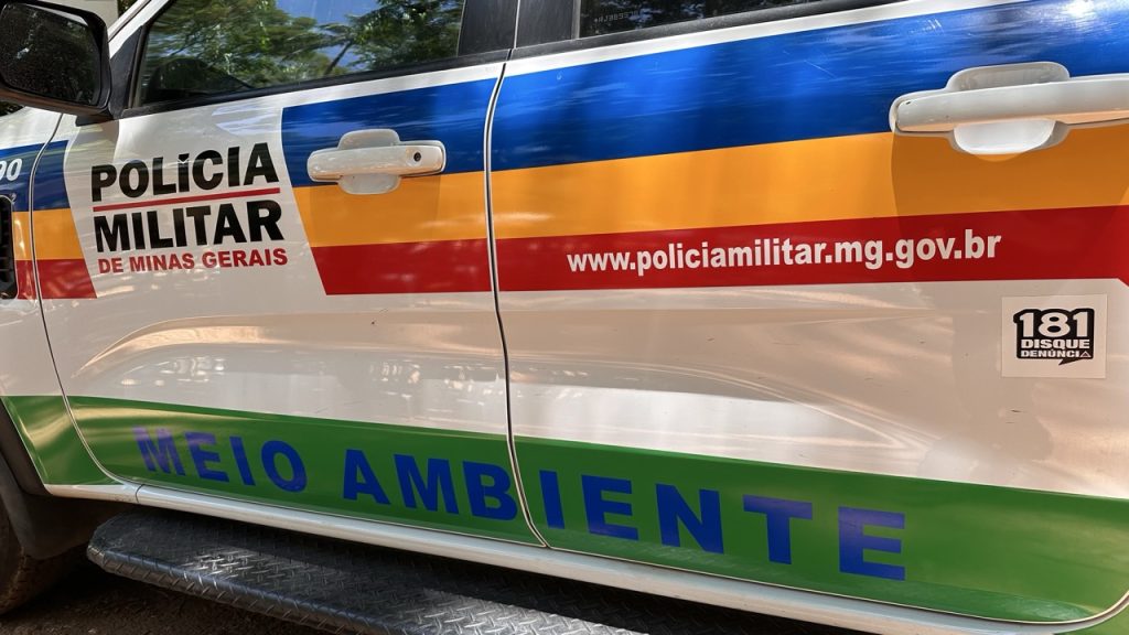 Crime ambiental resulta em mais de R$ 9 mil em multa
