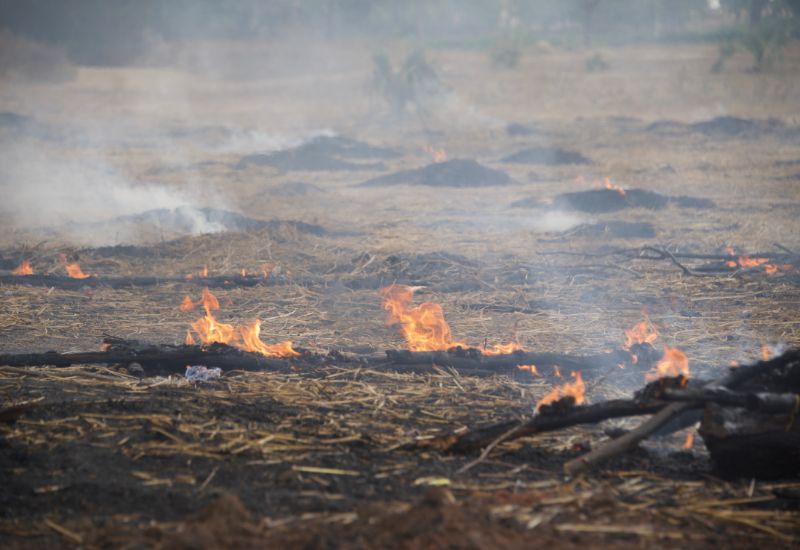 APA Serra da Neblina terá brigadas voluntárias de incêndio
