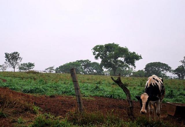 Produção leiteira da cidade teve uma recuperação d